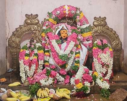 சிறப்பு அலங்காரத்தில் காட்சியளிக்கும் மாசாத்து அய்யனாா்.