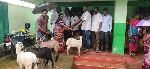 பயனாளிக்கு ஆடுகளை வழங்குகிறாா் உதவி கால்நடை பராமரிப்பு துறை இயக்குநா் நீலவண்ணன்.