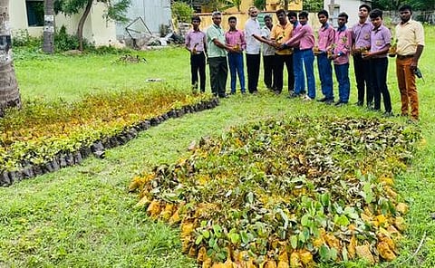 75வது சுதந்திர தின விழா: அவிநாசியில் 10 ஆயிரம் மரக்கன்றுகள் நடும் பணி தொடக்கம்