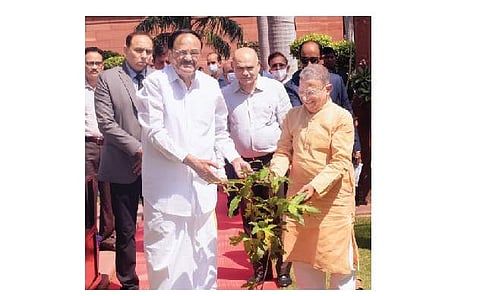 தில்லி நாடாளுமன்ற வளாகத்தில் புதன்கிழமை மரக்கன்று நட்ட குடியரசு துணைத் தலைவரும் மாநிலங்களவைத் தலைவருமான எம்.வெங்கையா நாயுடு.