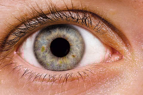 ஆயுள் காக்கும் ஆயுர்வேதம்: இடது கண் நரம்பு துடிப்பது எதனால்?