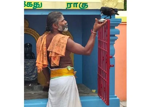 உக்கம்பெரும்பாக்கம் கோயிலில் தினமும் பிரசாதம் சாப்பிடும் காகம்