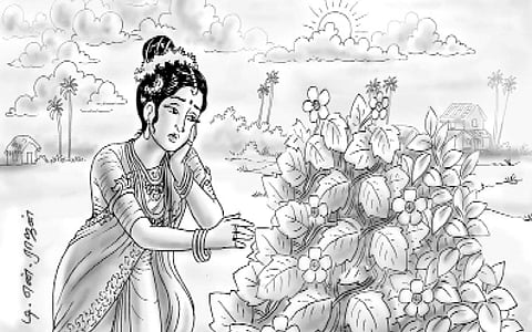 மாலையில் மலரும் பூ