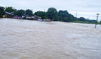 கோப்புப் படம்