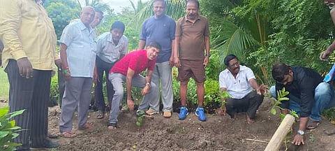 சிவகாசியில் 1100 மரக்கன்றுகள் நடல்