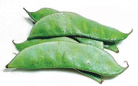 காய்கள் மகத்துவம்