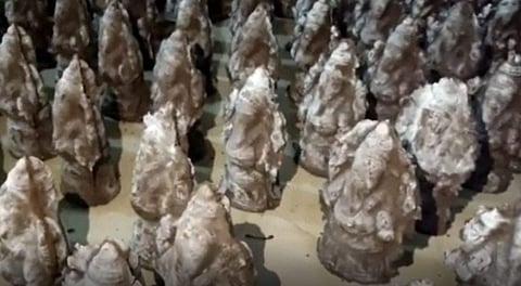 மதுரை அரசரடியில் விதைப்பந்து விநாயகர் தயாரிக்கும் பணியில் சிறைக் கைதிகள்!