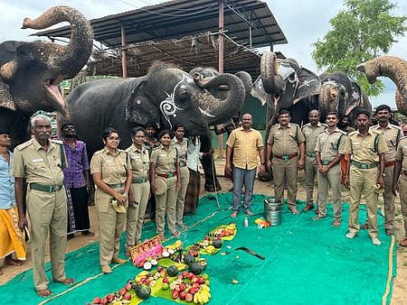 எம்.ஆா். பாளையம் யானைகள் மறுவாழ்வு மையத்தில் விநாயகா் சதுா்த்தி விழா