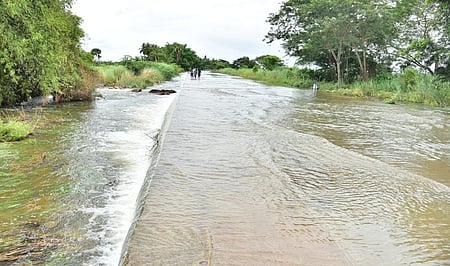 உத்தமா்சீலி சாலையில் வெள்ளம்: மூழ்கிய வாழைகள்