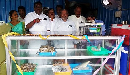 நாகையில் நவீன மீன் விற்பனை நிலையம் திறப்பு