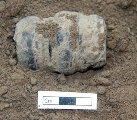 சிவகங்கை மாவட்டம் கீழடியில் நடந்து வரும் அகழாய்வில் சனிக்கிழமை கண்டெடுக்கப்பட்ட தந்தத்திலான மணி (சுத்தப்படுத்துவதற்கு முன்பு)