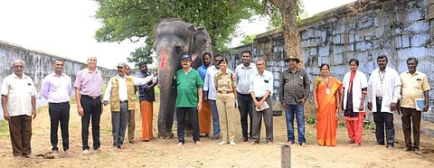ஆண்டாள் கோயில் யானை தாக்கப்பட்ட விவகாரம்: அசாம் வன அதிகாரிகள் ஆய்வு