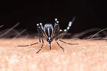 கோப்புப் படம்