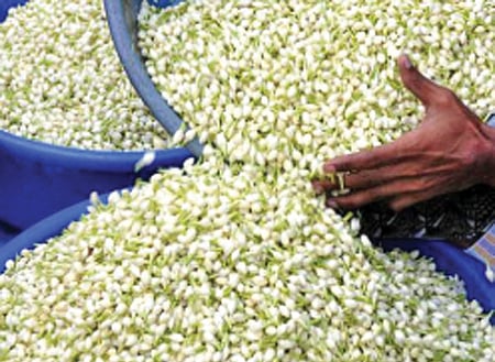 கோப்புப்படம்