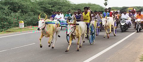 திருப்பத்தூரில் இரட்டை  மாட்டுவண்டிப் பந்தயம்