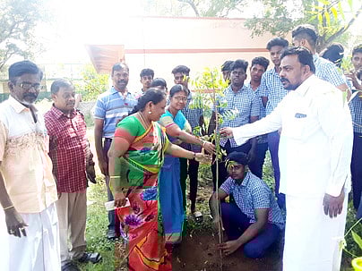 திருப்பத்தூா் அரசு ஆண்கள் மேல்நிலைப்பள்ளியில் வியாழக்கிழமை மரக்கன்று நட்ட சிங்கம்புணரி வட்டாட்சியா் சாந்தி.