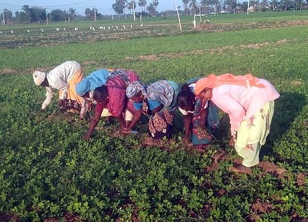 எளிய மனிதா்களும் இதயம் கவரலாம்