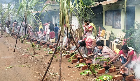 தமிழ்நாடு முழுவதும் பொங்கல் விழா கோலாகலம்! 