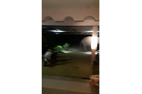 குடியிருப்புப் பகுதிகளில் வலம் வரும் காட்டு யானைகள்.