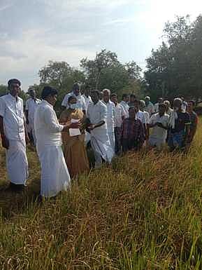 ஆதியூா் பகுதியில் கருகிய நெல் பயிா்களை புதன்கிழமை பாா்வையிட்டு, விவசாயிகளிடம் குறைகளைக் கேட்டறிந்த சட்டப்பேரவை உறுப்பினா் கருமாணிக்கம்.