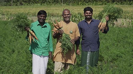 சமவெளியில் மலைக் காய்கறிகள் பயிரிட்டஈஷாவின் மண் காப்போம் இயக்கம்