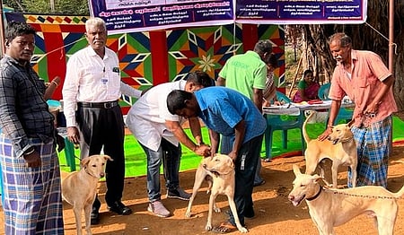 திருச்சியை அடுத்துள்ள வாழவந்தான்கோட்டையில் வெள்ளிக்கிழமை நடைபெற்ற முகாமில் நாய்களுக்கு வெறிநோய் தடுப்பூசி செலுத்தும் மருத்துவா்கள்.