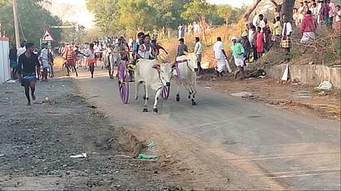 இரட்டை மாட்டு வண்டிப் பந்தயம்