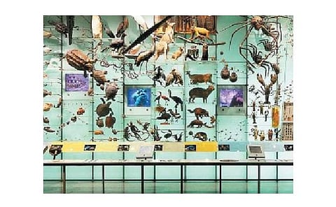 பல்லுயிர் பேணுதல் மானுட அறம்