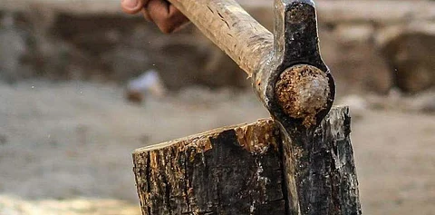 திருவள்ளூர் நெடுஞ்சாலைக்காக 1,783 மரங்கள் வெட்டு!