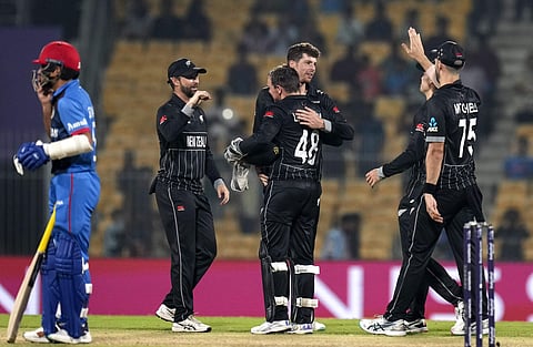 நியூஸிலாந்துக்கு எளிதான வெற்றி