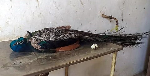 கோப்புப்படம்