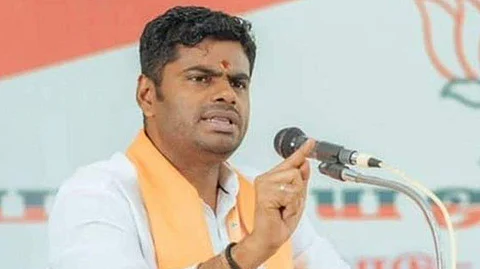 அண்ணாமலை (கோப்புப்படம்)