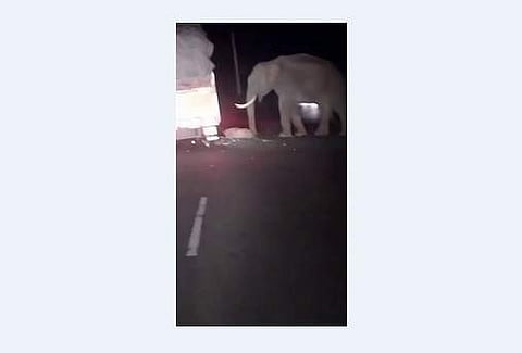 வாகனத்தை வழிமறித்து உருளைக்கிழங்கு மூட்டையை எடுத்துச் சென்ற யானை