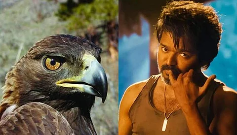எப்படிடா இருக்க..? யாரைச் சொன்னார் விஜய்?