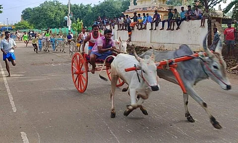 சுருளிப்பட்டியில் நடைபெற்ற இரட்டை மாட்டுவண்டி பந்தயம்