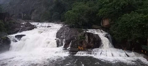 ​மணிமுத்தாறு அருவியில் வெள்ளிக்கிழமை காலை காணப்படும் நீர்வரத்து
