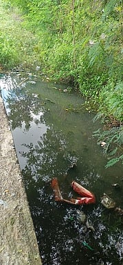 கழிவுநீா் கால்வாய் தூா்வாரக் கோரிக்கை