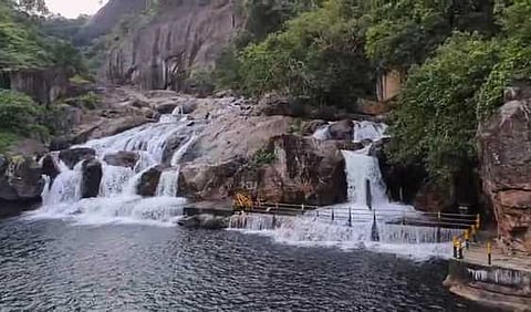 நீரின் அருமை உணா்வோம்