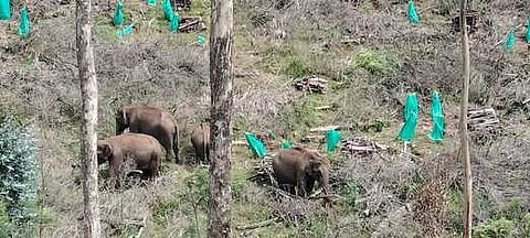 கோப்புப்படம்