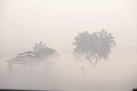 வெள்ளிக்கிழமை சிவப்பு எச்சரிக்கை விடுப்பு.. மழைக்கு அல்ல!