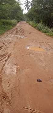 துலுக்கவிடுதி வடக்கு கிராமத்தில் முந்திரிக்காட்டில் உள்ள மண்சாலை .