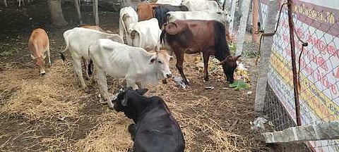 கோப்புப் படம்.