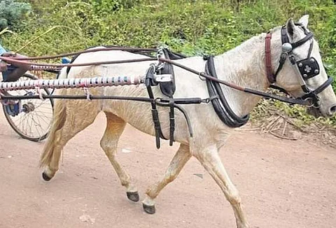 கோப்புப் படம்.