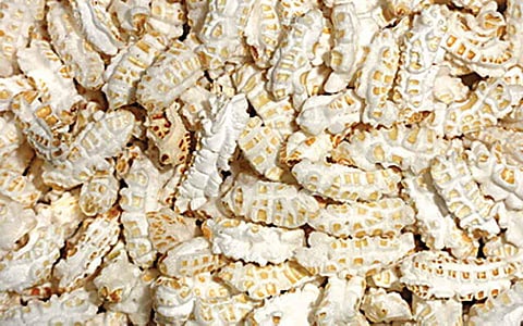 ஆயுள் காக்கும் ஆயுர்வேதம்: நெல் பொறியின் மருத்துவக் குணங்கள் என்ன?