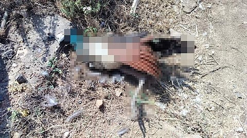 வாழப்பாடி அருகே ரயிலில் அடிபட்டு இரு மயில்கள் பலி: கிராம மக்கள் சோகம்