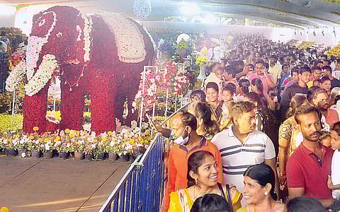 கோடிப் பூக்கள் கூடி நின்ற அதிசயம்..!