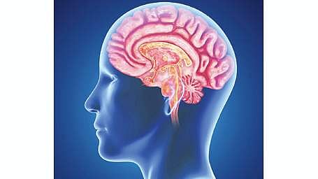 உங்கள் மூளையின் நலனுக்கான 10 திறவுகோல்கள்! ராக்ஃபோா்ட் நரம்பியல் மையம் தகவல்