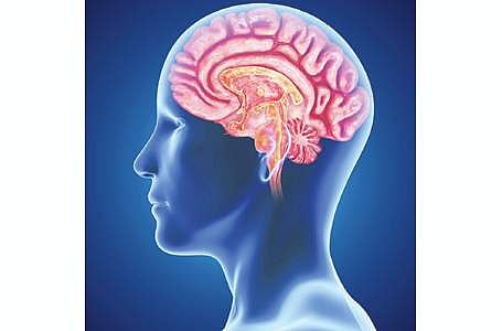 மூளைக்குத் தேவையானவை உங்கள் உணவில் இருக்கிறதா?