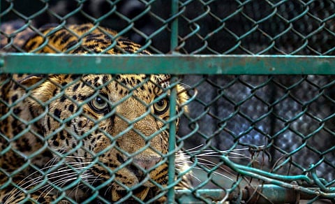 கோப்புப்படம்