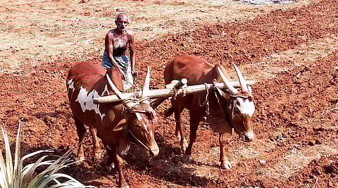 கோப்புப்படம்